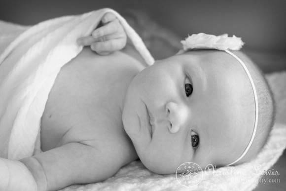 newborn portrait photo shoot chattanooga, tn, &quot;christine lewis photography&quot;, natural, 