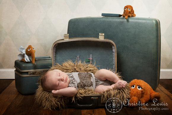 family portrait baby chattanooga, tn hixson &quot;christine lewis photography&quot; 3 months old, snuffy, snuffleupagus