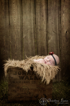 newborn portrait photo shoot chattanooga, tn, &quot;christine lewis photography&quot;, natural, vintage, outdoor, box, johnny walker