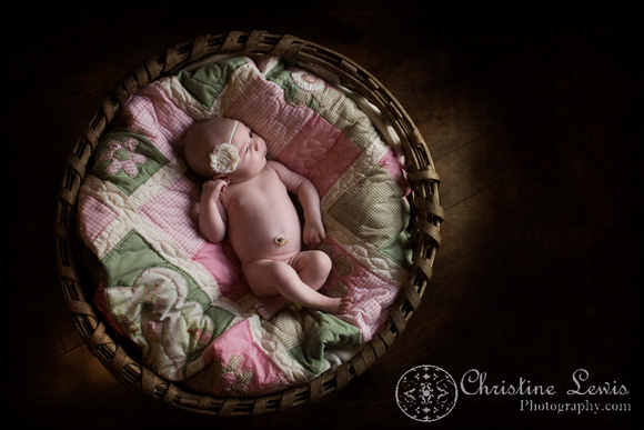 newborn portrait photo shoot chattanooga, tn, &quot;christine lewis photography&quot;, natural, basket, quilt