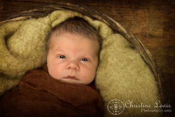 newborn portrait photo shoot, baby boy, chattanooga, tn, &quot;christine lewis photography&quot;, 