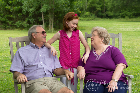 family portrait, lifestyle, chattanooga, tennessee, tn, outdoor, &quot;christine lewis photography&quot;, grandparents, outdoor, natural, field