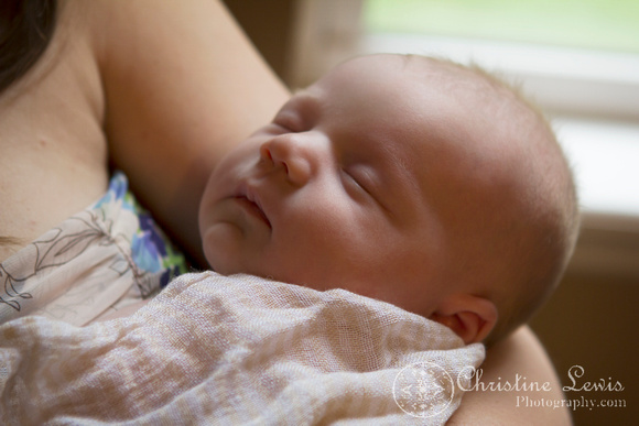 newborn portrait photo shoot chattanooga, tn, &quot;christine lewis photography&quot; outdoor, natural, family
