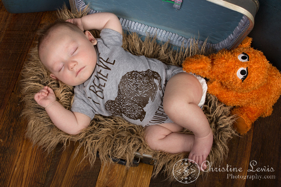 family portrait baby chattanooga, tn hixson &quot;christine lewis photography&quot; 3 months old, snuffleupaugus, snuffy