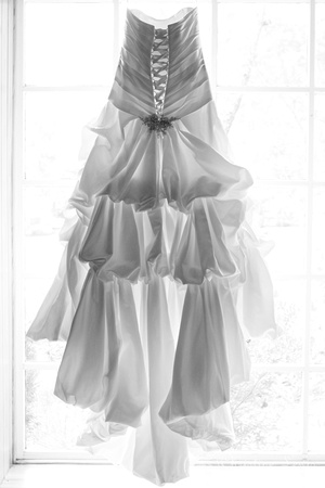wedding dress, black and white, monochrome, backlit, silhouette, gown, artistic, chattanooga nature center, tennessee, tn, professional, photographs