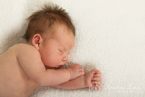 newborn portrait photo shoot, baby boy, chattanooga, tn, &quot;christine lewis photography&quot;