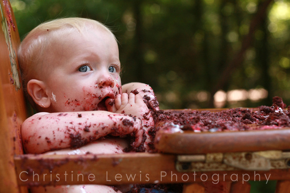 Chattanooga, TN, Tennessee, babies, baby, boy, cake, chair, children, "christine lewis photography", eating, gallery, high, icing, images, in, it, lifestyle, love, off, old, one, photographer, photogr