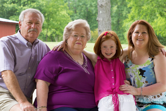 family portrait, lifestyle, chattanooga, tennessee, tn, outdoor, &quot;christine lewis photography&quot;, grandparents, outdoor, natural