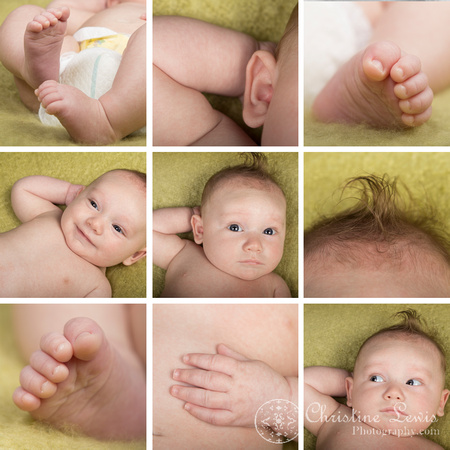 family portrait baby chattanooga, tn hixson &quot;christine lewis photography&quot; 3 months old green details
