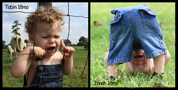 farmer, overalls, boy, little, 18 months old, professional, photo shoot, photographs, pictures, chattanooga, tennessee, tn, graysville, farm, blonde, blue eyes, before and after, brothers, crying, fit