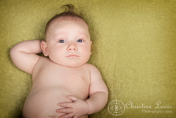 family photo shoot portrait baby chattanooga, tn hixson &quot;christine lewis photography&quot; 3 months old green
