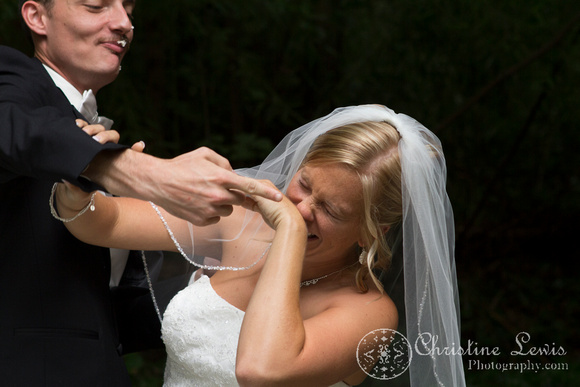 professional wedding photography, Chattanooga, tn, Atlanta, "Christine lewis photography", reception, cutting the cake
