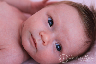 newborn, chattanooga, tennessee, girl, pink, baby, infant, professional photo shoot, photographs, pictures, awake, eyes open