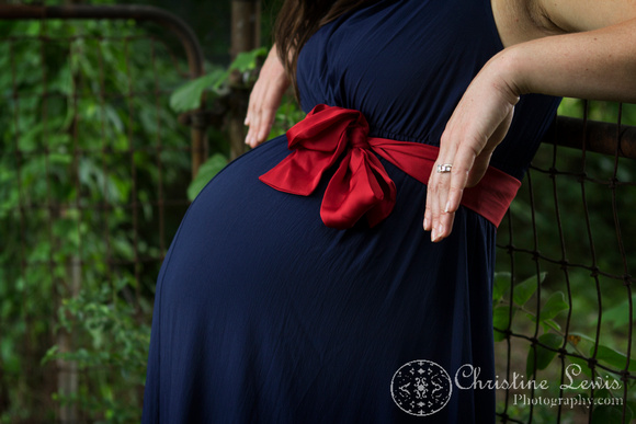 maternity family pictures Chattanooga, tn "Christine lewis photography" portrait lifestyle southside neighborhood