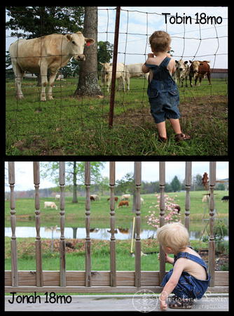 farmer, overalls, boy, little, 18 months old, professional, photo shoot, photographs, pictures, chattanooga, tennessee, tn, graysville, farm, blonde, blue eyes, before and after, brothers, cattle, cows