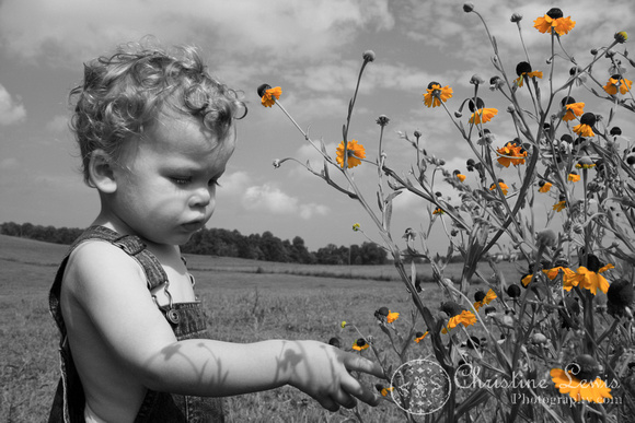 boy, flowers, overalls, yellow, selective color, 18 month sold