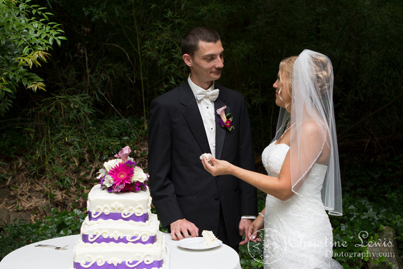professional wedding photography, Chattanooga, tn, Atlanta, "Christine lewis photography", reception, cutting the cake