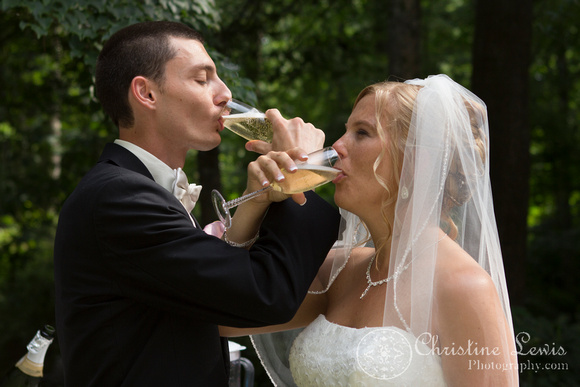professional wedding photography, Chattanooga, tn, Atlanta, "Christine lewis photography", reception, toast