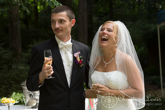 professional wedding photography, Chattanooga, tn, Atlanta, "Christine lewis photography", reception, toast