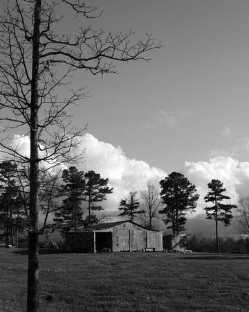B&W, barn, clouds, country, farm, monochrome, rural, shed, tree