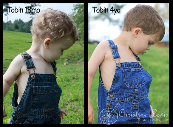 4 year old, 18 month old, farm, overalls, photographs, professional, before and after, growing up, pictures, chattanooga, tennessee, tn, graysville