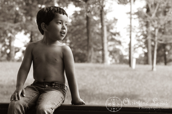 five year old, boy, sepia, chattanooga, tennessee, pikeville, professional, child pictures, photography, fence, farm