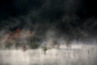 TN, fog, ocoee, "parksville lake", tennessee, trees, water