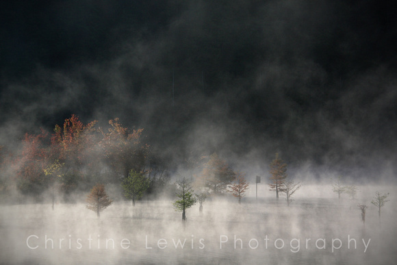 TN, fog, ocoee, "parksville lake", tennessee, trees, water