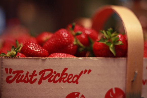 "christine lewis photography", farm, fresh, red, strawberries