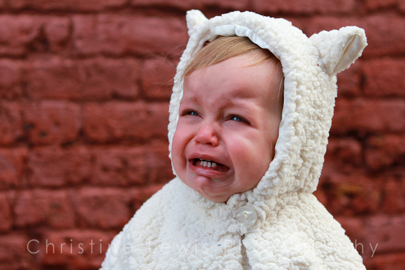 1-5, Chattanooga, TN, Tennessee, children, "christine lewis photography", crying, gallery, girl, images, in, joy, kids, laughing, little, old, photographer, photos, pictures, portraits, red, sheep, sm
