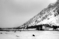 HDR, National, Park, WY, Wyoming, Yellowstone, activity, and, art, bison, black, decor, fine, home, landscape, landscape, monochrome, mountain, photographs, pictures, prints, professional, snow, volca