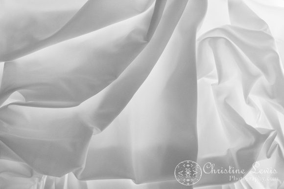 wedding dress, bridal, chattanooga nature center, details, black and white, backlit, artistic, professional
