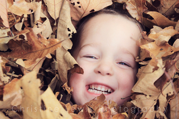 chattanooga, tn, tennessee, portrait, child photographer, kid, fall, leaves, playing, boy