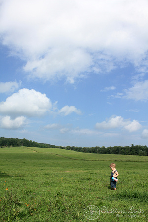 field, blue sky, boy, overalls, 18 months old, farm