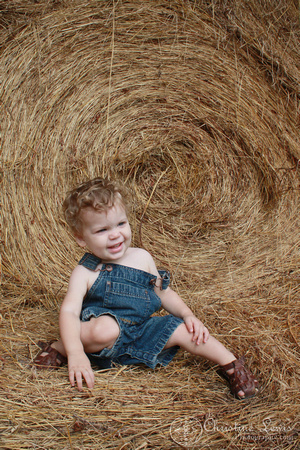 hay, boy, 18 month sold, overalls, smile, portrait