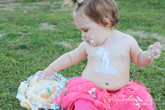 lifestyle portraits, smash cake, icing, 1 year old, first birthday, photographs, pictures, professional, chattanooga, tennessee, tn