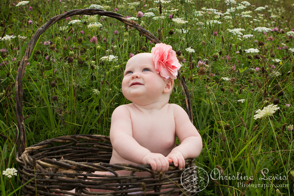 6 month old baby portrait photo shoot professional Chattanooga, TN "Christine Lewis Photography" child wildflower field outdoor natural basket 
