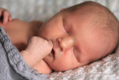 newborn, chattanooga, tennessee, tn, cleveland, portraits, lifestyle, photography, peaceful, serene, sleeping, pictures, photographs