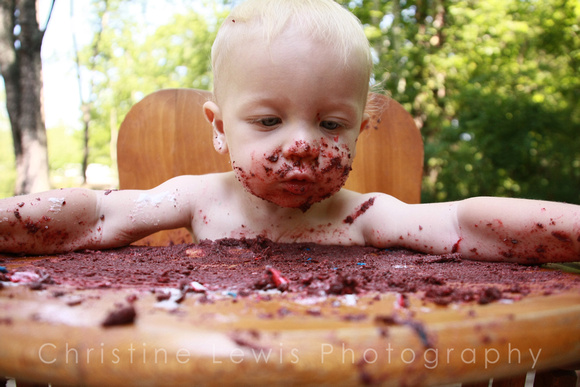 Chattanooga, TN, Tennessee, angle, babies, baby, boy, cake, children, "christine lewis photography", coma, gallery, icing, images, in, lifestyle, love, old, one, photographer, photography, photos, pic