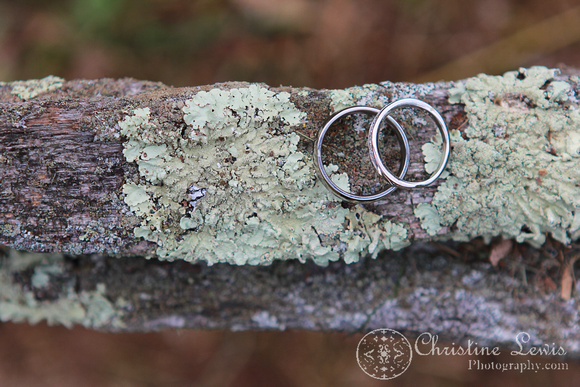 chattanooga nature center, tennessee, tn, outdoor, wedding, natural, professional, photographs, portraits, pictures, the rings, wood, rustic, lichen, moss