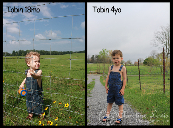 4 year old, 18 month old, farm, overalls, photographs, professional, before and after, growing up, pictures, chattanooga, tennessee, tn, graysville
