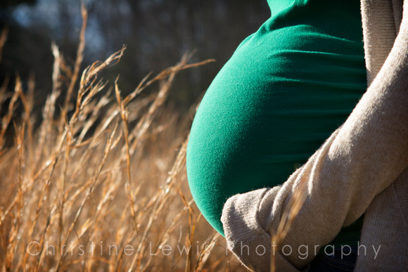 maternity professional photographs Chattanooga, TN outdoor natural "Christine Lewis Photography" self portraits