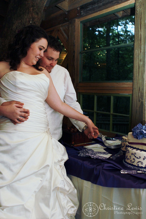 chattanooga nature center, tennessee, tn, outdoor, wedding, natural, professional, photographs, portraits, pictures, reception, discovery forest treehouse, cutting the cake, bride and groom