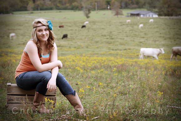 Chattanooga, TN, Tennessee, cattle, "christine lewis photography", cow, freshman, freshmen, gallery, girl, high, images, in, lifestyle, photographer, photography, photos, pictures, rural, school, seni