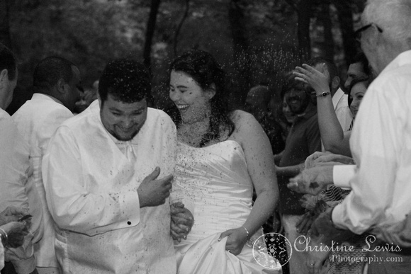chattanooga nature center, tennessee, tn, outdoor, wedding, natural, professional, photographs, portraits, pictures, reception, discovery forest treehouse, birdseed, black and white, going away, running, bride and groom