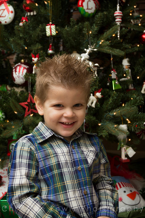 children professional photography portrait photo shoot chattanooga, TN Dunlap Christmas boy plaid