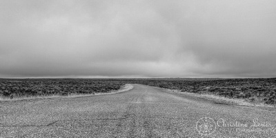 road, vanishing point, travel, idaho, black and white, panoramic, road, sagebrush, plains