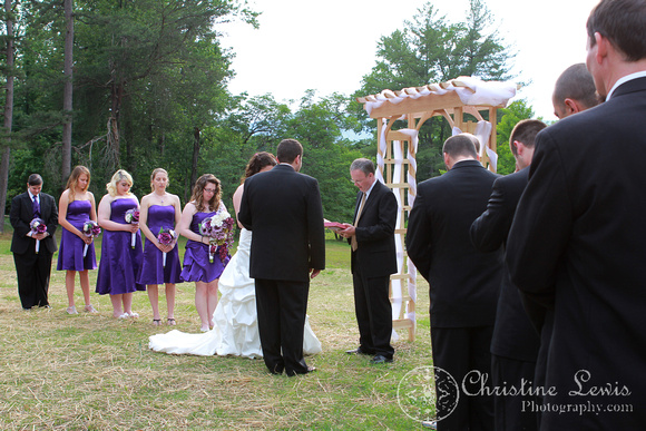 chattanooga nature center, wedding, professional, photography, pictures, tennessee, TN, outdoor, natural, bridal party, purple, bride, groom