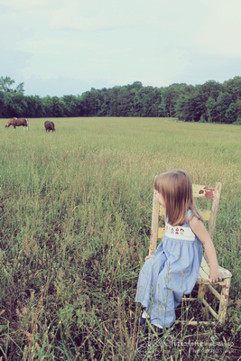 photographs, professional, pictures, south pittsburg, tn, tennessee, farm, field, little girl, 3 years old, professional, portraits, lifestyle, outdoor, natural, horses, vintage, chair, field