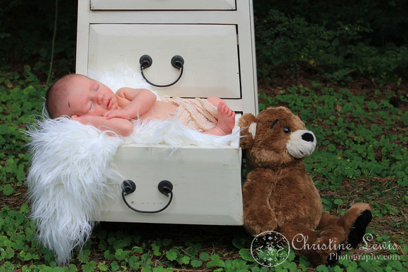newborn photography, professional, infant, chattanooga, tennessee, tn, baby, boy, shelf, teddy bear, cute